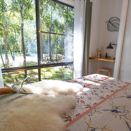 Airlie Beach Eco Cabins - Adults Only Экстерьер фото