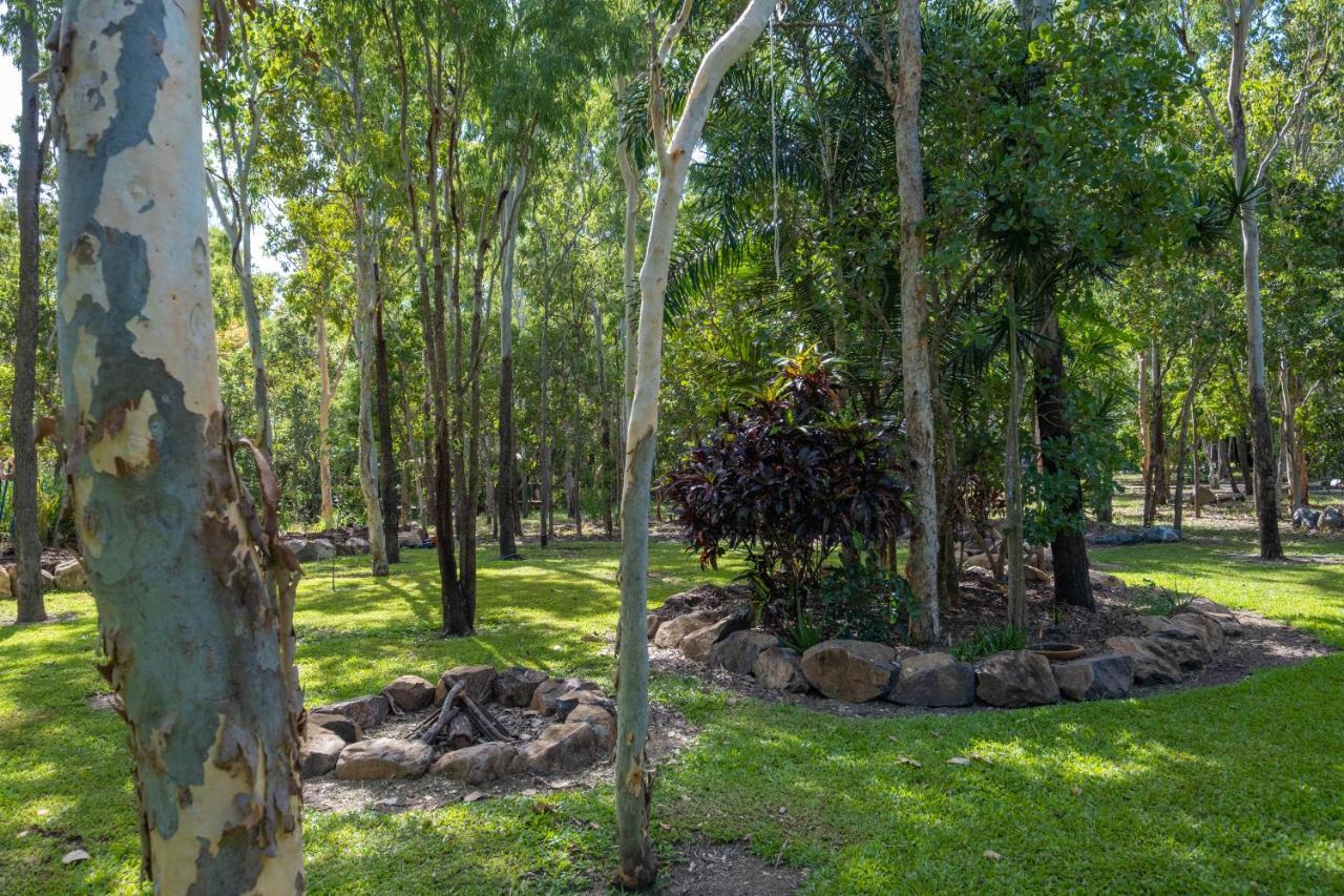 Airlie Beach Eco Cabins - Adults Only Экстерьер фото