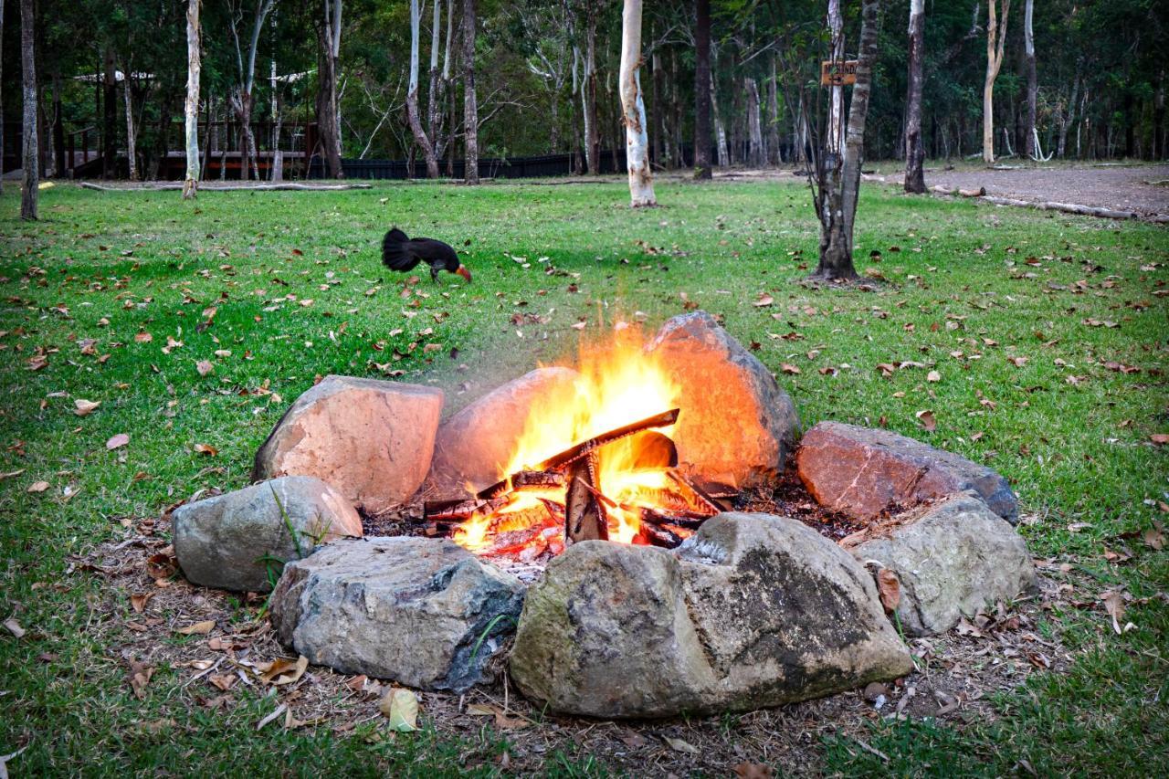 Airlie Beach Eco Cabins - Adults Only Экстерьер фото